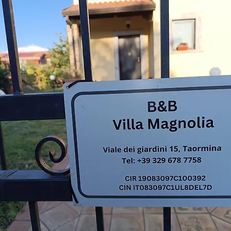 Magnolia